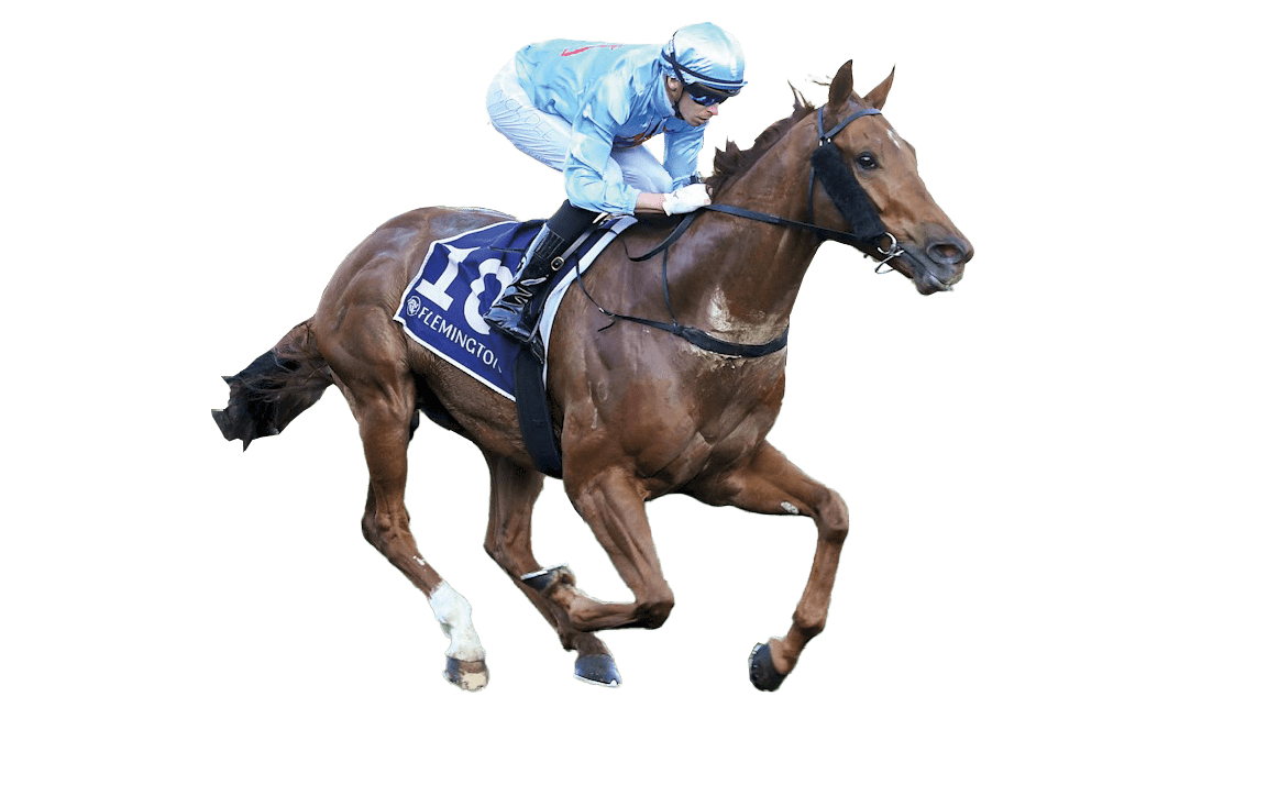 King Of Roseau ridden by Michael Dee wins the Aurie's Star Handicap at Flemington Racecourse on August 02, 2025 in Flemington, Australia. (Photo by Brett Holburt/Racing Photos)