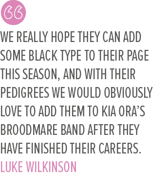 We really hope they can add some black type to their page this season, and with their pedigrees we would obviously lo...
