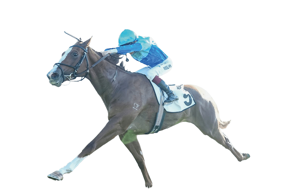 Samudra ridden by Ben Melham wins the Thoroughbred Club of Australia Handicap at Sportsbet Sandown Hillside Racecourse on May 21, 2025 in Springvale, Australia. (Photo by Scott Barbour/Racing Photos)