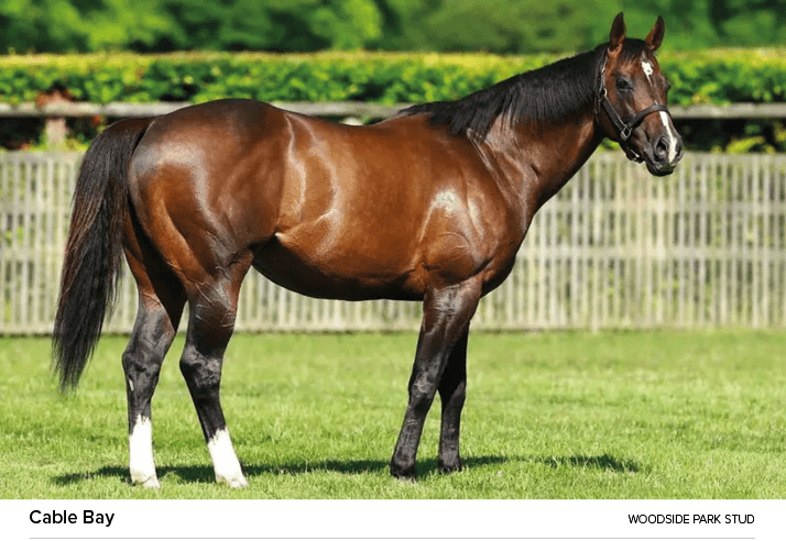 Cable Bay Woodside Park Stu