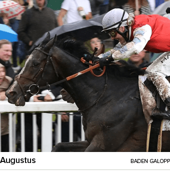 Augustus baden galop