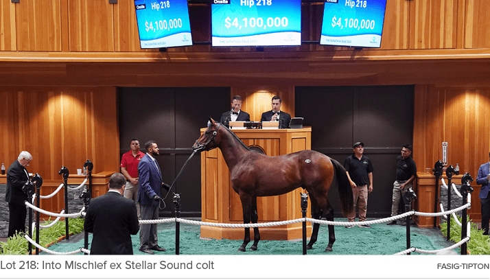 Lot 218: Into Mischief ex Stellar Sound colt Fasig Tipto