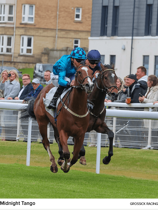 Midnight Tango Grossick Racin