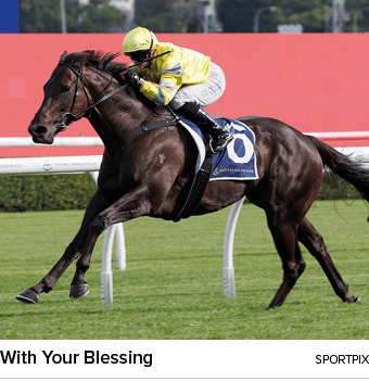 With Your Blessing sportpi