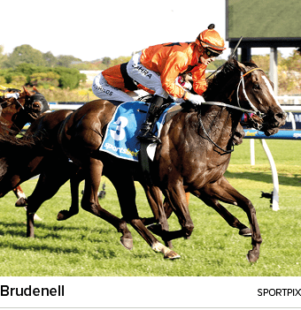 Brudenell sportpi