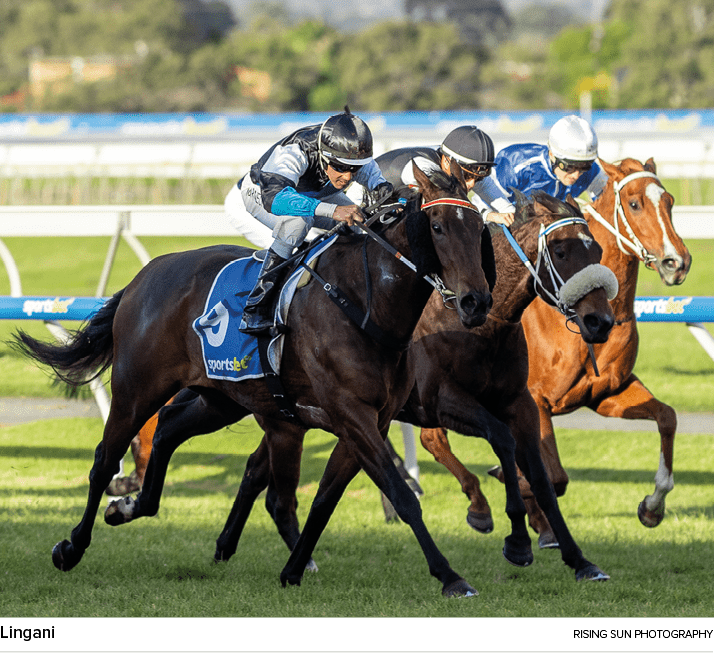 Lingani rising sun photograph