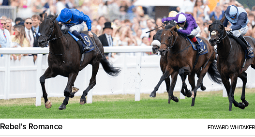 Rebel's Romance Edward Whitake