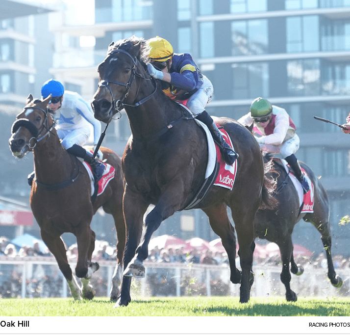 Oak Hill racing photo