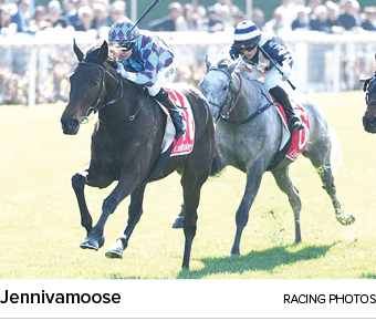 Jennivamoose racing photo