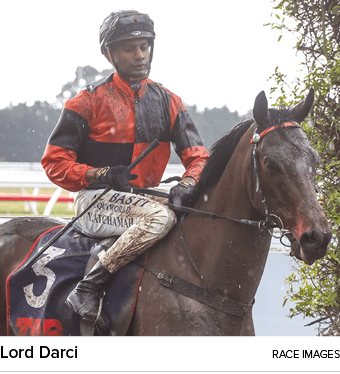 Lord Darci race image
