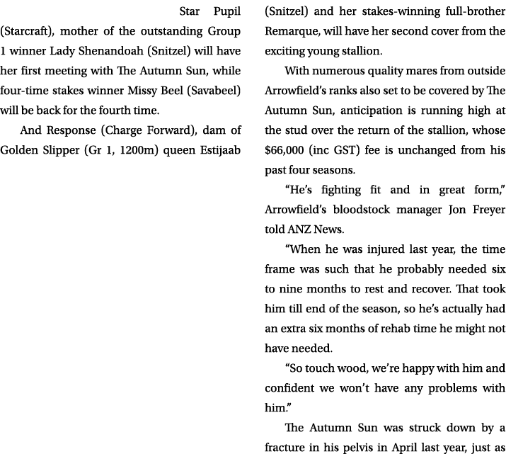 Star Pupil (Starcraft), mother of the outstanding Group 1 winner Lady Shenandoah (Snitzel) will have her first meetin...