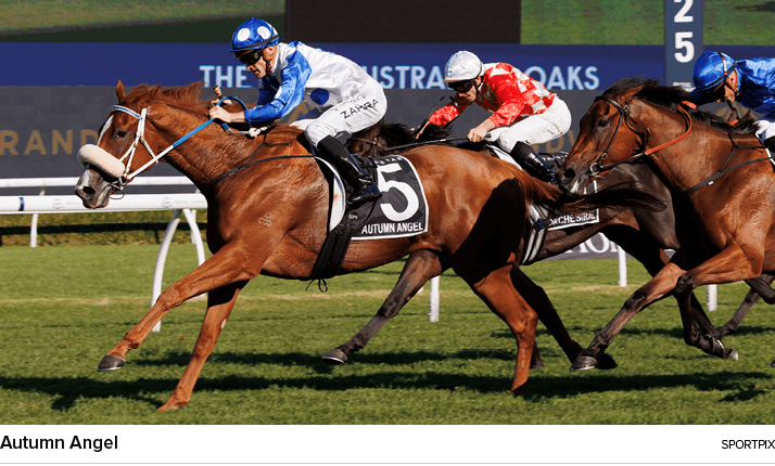 Autumn Angel sportpi