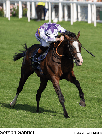 Seraph Gabriel Edward Whitake