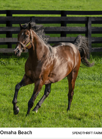 Omaha Beach spendthrift far