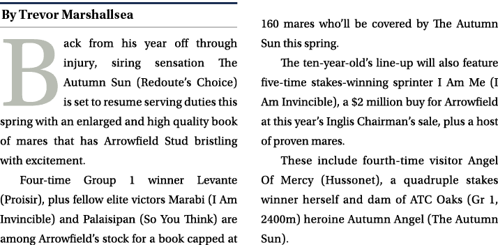 ￼ Back from his year off through injury, siring sensation The Autumn Sun (Redoute’s Choice) is set to resume serving ...