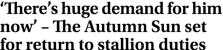 ‘There’s huge demand for him now’ – The Autumn Sun set for return to stallion duties