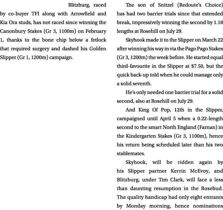 Blitzburg, raced by co buyer TFI along with Arrowfield and Kia Ora studs, has not raced since winning the Canonbury S...