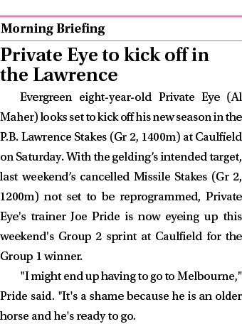  ￼ Private Eye to kick off in the Lawrence Evergreen eight year old Private Eye (Al Maher) looks set to kick off his ...