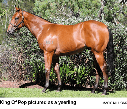 King Of Pop pictured as a yearling magic million