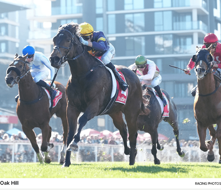 Oak Hill racing photo