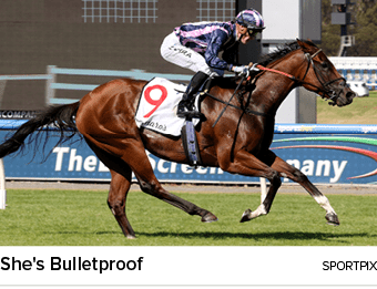 She's Bulletproof sportpi