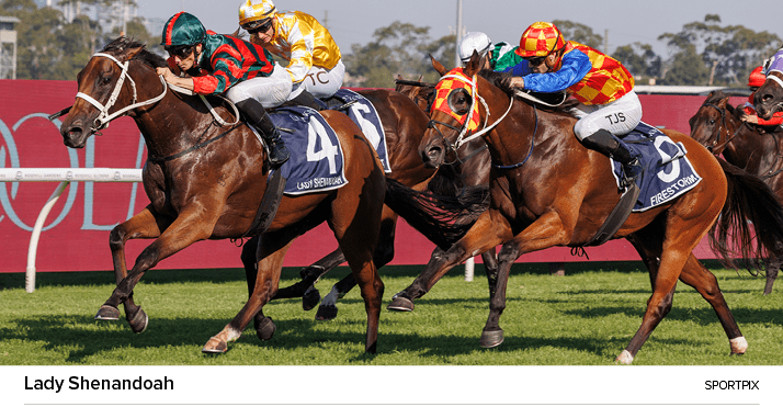 Lady Shenandoah sportpi