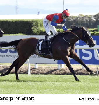 Sharp 'N' Smart Race Image