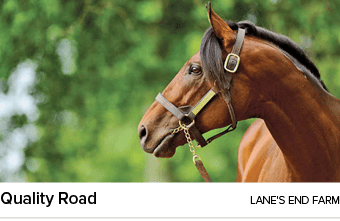 Quality Road lane's end FAR