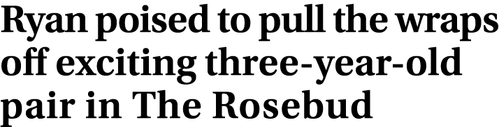 Ryan poised to pull the wraps off exciting three year old pair in The Rosebud