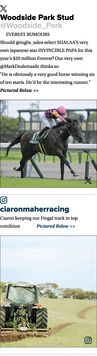 ￼ Woodside Park Stud @Woodside_Park 🗻 EVEREST RUMOURS 🗻 Should @inglis_sales select SHALAA'S very own Japanese star...