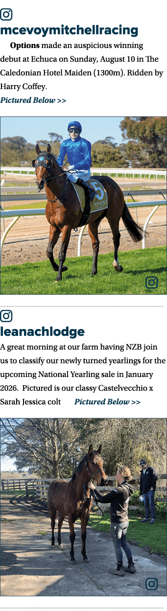 ￼ mcevoymitchellracing 🧡 Options made an auspicious winning debut at Echuca on Sunday, August 10 in The Caledonian H...