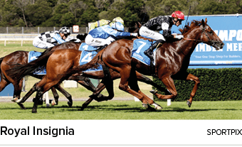 Royal Insignia sportpi