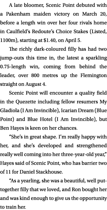 A late bloomer, Scenic Point debuted with a Pakenham maiden victory on March 20, before a length win over her four ri...