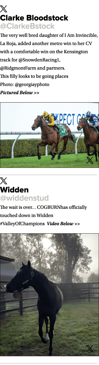 ￼ Clarke Bloodstock @ClarkeBstock The very well bred daughter of I Am Invincible, La Roja, added another metro win to...