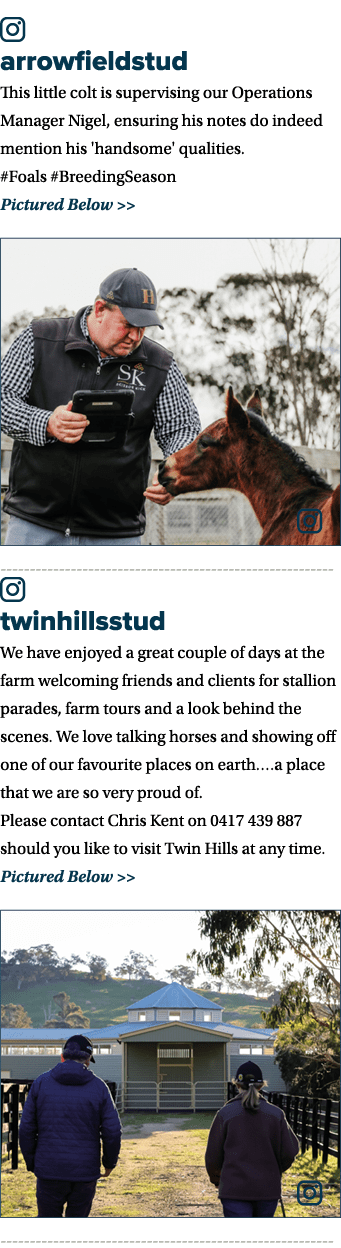 ￼ arrowfieldstud This little colt is supervising our Operations Manager Nigel, ensuring his notes do indeed mention h...