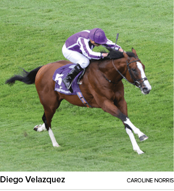 Diego Velazquez caroline norri