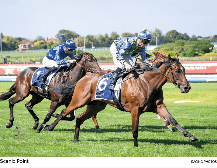 Scenic Point Racing photo