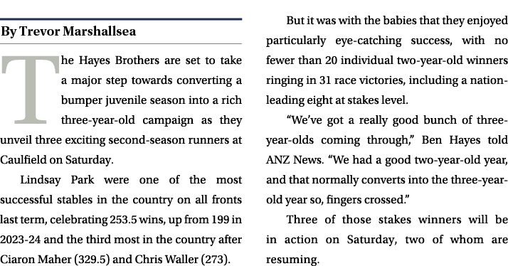 ￼ The Hayes Brothers are set to take a major step towards converting a bumper juvenile season into a rich three year ...