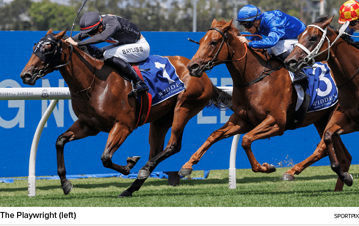 The Playwright (left) sportpi