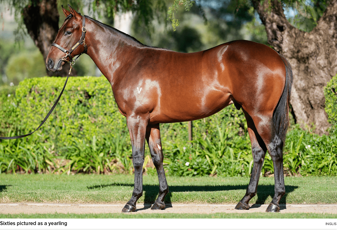 Sixties pictured as a yearling ingli