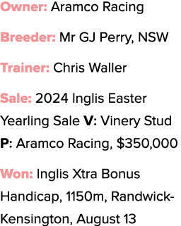 Owner: Aramco Racing Breeder: Mr GJ Perry, NSW Trainer: Chris Waller Sale: 2024 Inglis Easter Yearling Sale V: Vinery...