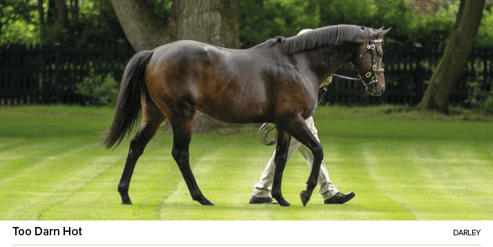 Too Darn Hot darle