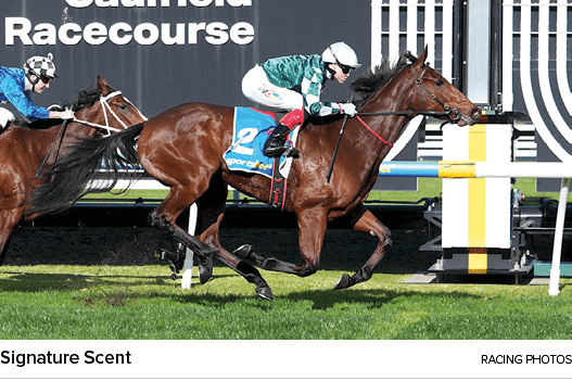 Signature Scent racing photo