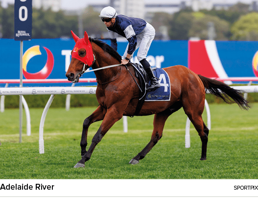 Adelaide River sportpi