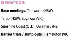 ￼ What's on: Race meetings: Tamworth (NSW), Taree (NSW), Seymour (VIC), Sunshine Coast (QLD), Owamaru (NZ) Barrier tr...