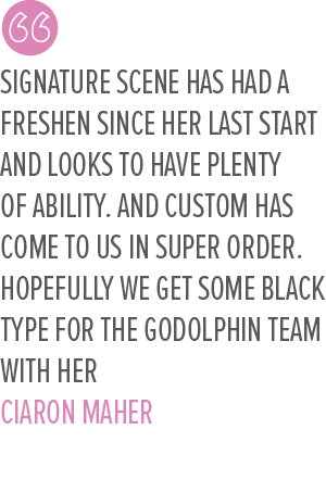 Signature Scene has had a freshen since her last start and looks to have plenty of ability. And Custom has come to us...