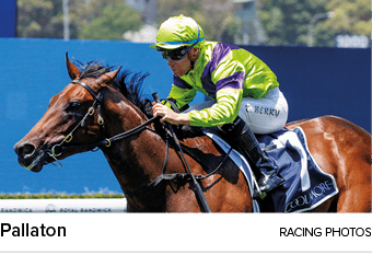 Pallaton racing photo