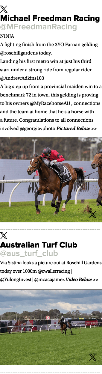 ￼ Michael Freedman Racing @MFreedmanRacing NINJA A fighting finish from the 3YO Farnan gelding @rosehillgardens today...