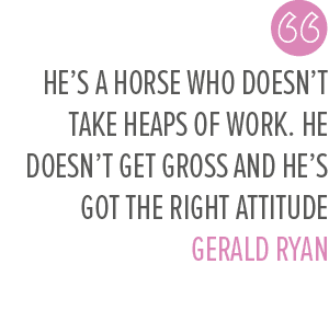 He’s a horse who doesn’t take heaps of work. He doesn’t get gross and he’s got the right attitude Gerald Rya