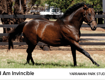 I Am Invincible yarraman park stu